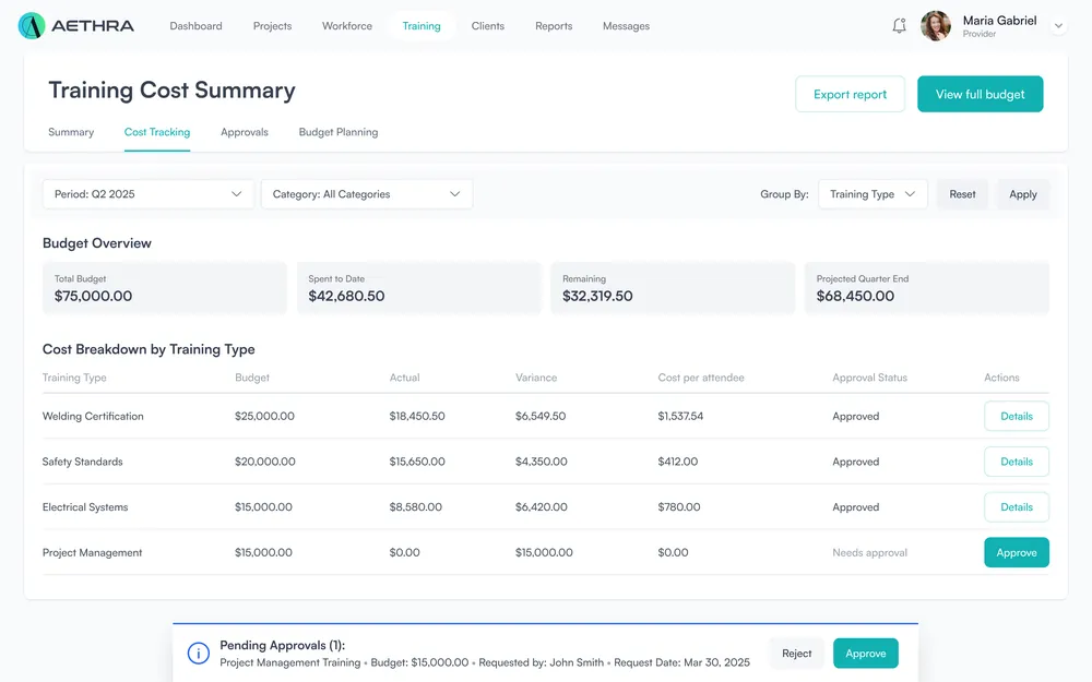 Budget tracking